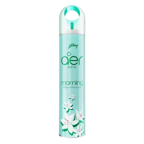Godrej Oer Spray Morning 300 ml