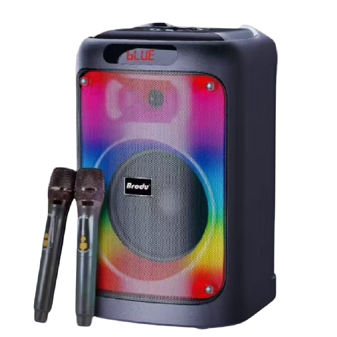 Brodu BTS-2102 8 imch IKARAOKE BOX professional system Bluetooth speaker with 2 wireless mic