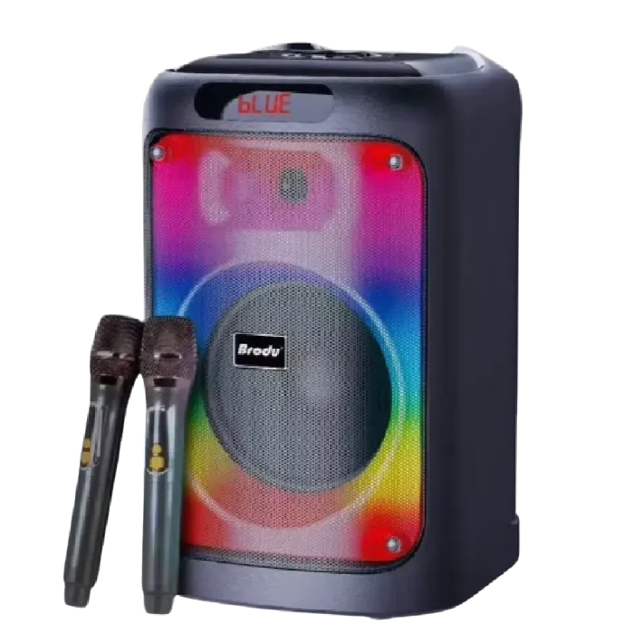 Brodu BTS-2102 8 imch IKARAOKE BOX professional system Bluetooth speaker with 2 wireless mic