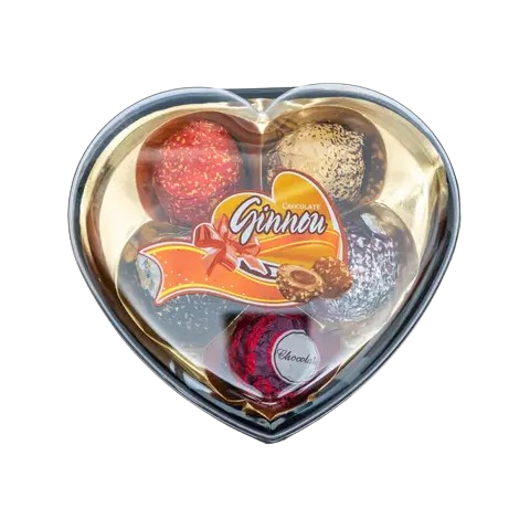 Ginnou Chocolate Covered Waffer Biscuite 55g