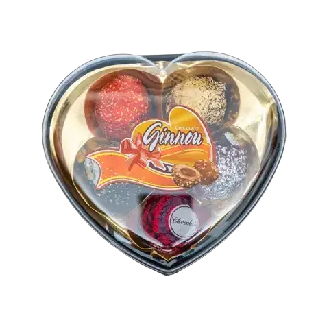 Ginnou Chocolate Covered Waffer Biscuite 55g